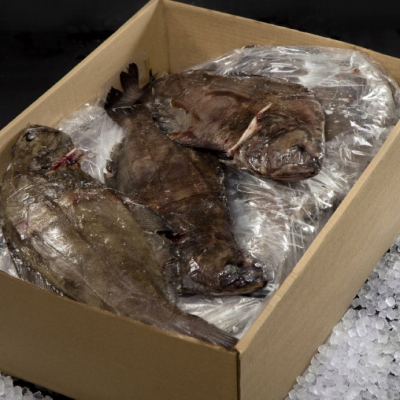 03_turbot_entier_surgele_2x10kg_caisse